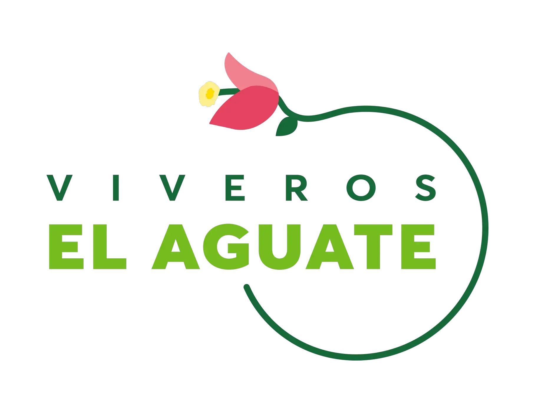 My Website